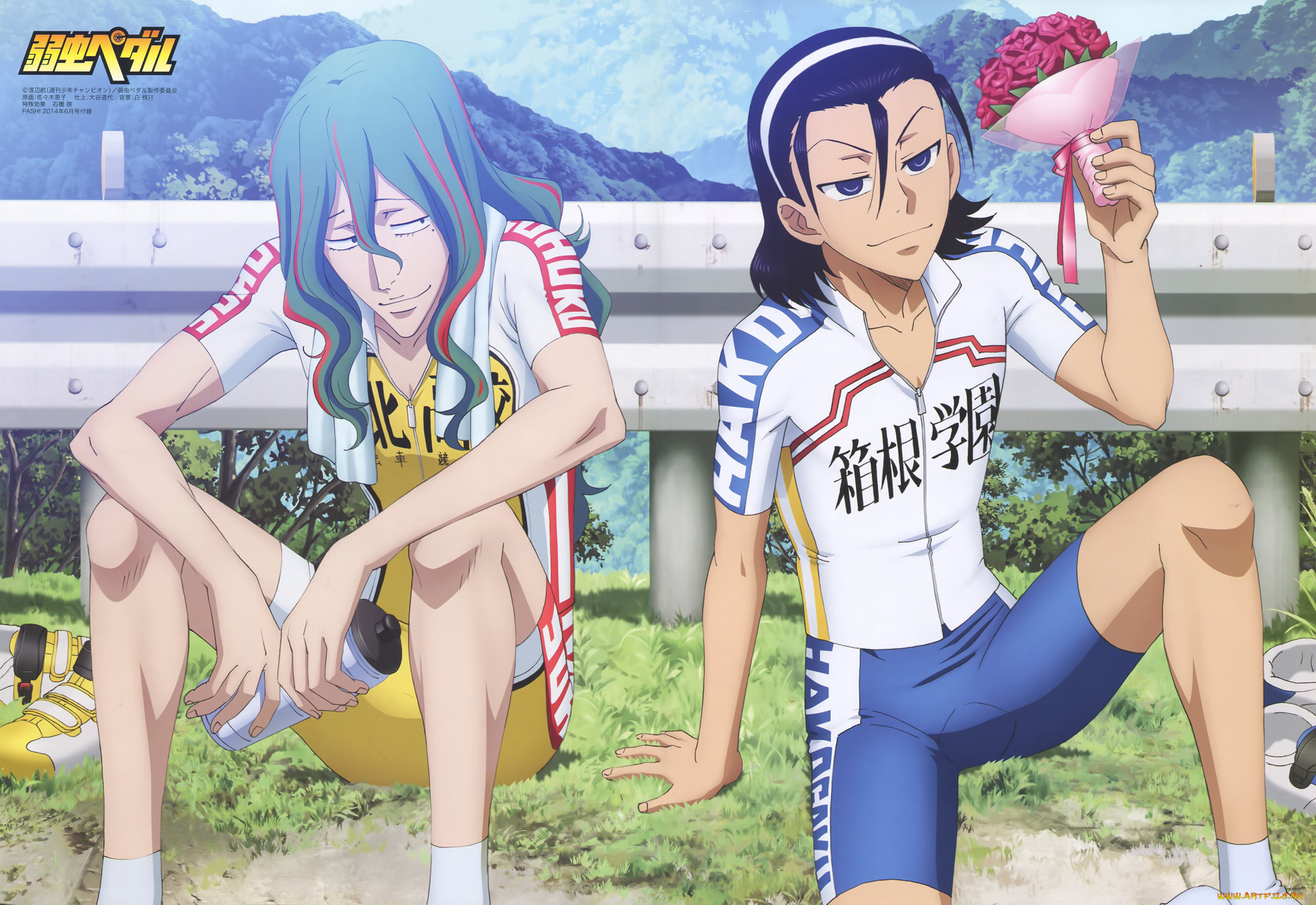 , yowamushi pedal, 